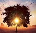 Live to Forgive