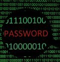 The Perfect Password