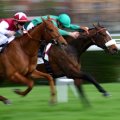 Breeder\'s Cup Preview