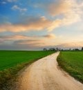 Disappearing Rural America