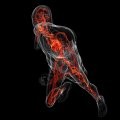 Neuromuscular Diseases