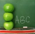 Specialized Teaching for Learning Differences