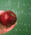Understanding the Common Core State Standards (CCSS)