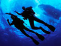 Underwater Adventures