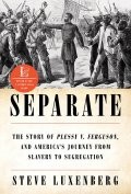 America\'s Journey from Slavery to Segregation