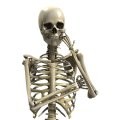 New Perspectives on Osteoporosis