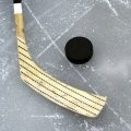In the Crease