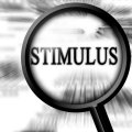 Analyzing the Stimulus