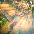 From the Files of IANDS:  God Changed the Way I View My Life