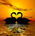 Relationship Co-Coaching