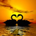 Love From Both Sides