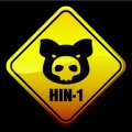 H1N1 and the Impact on Traveling