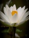 Clearing the Clutter