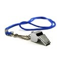 The Whistleblowers Handbook
