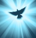 The Power of Forgivness