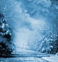 Take Advantage of the Cold