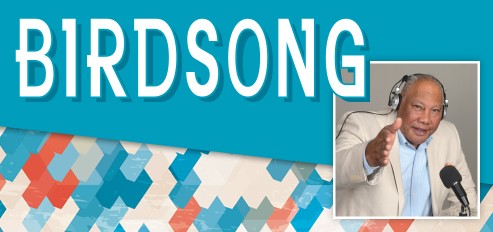 Birdsong